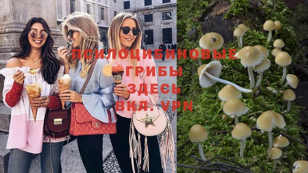 дурь Воткинск