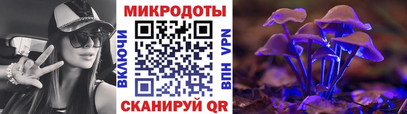 сколько стоит  это официальный сайт  Псилоцибиновые грибы прущие грибы  Бабушкин 